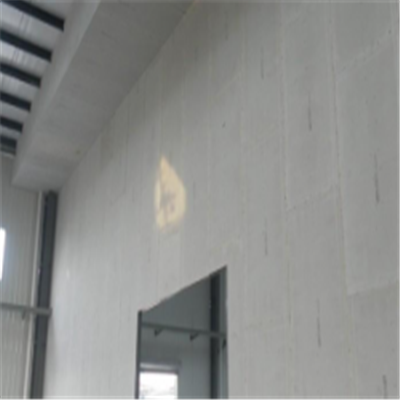 吴川宁波ALC板|EPS加气板隔墙与混凝土整浇联接的实验研讨